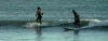 surfchicks_small.gif (4011 bytes)